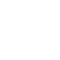 stat-icon