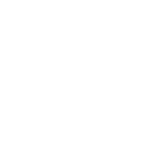 stat-icon