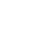 stat-icon