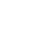 stat-icon